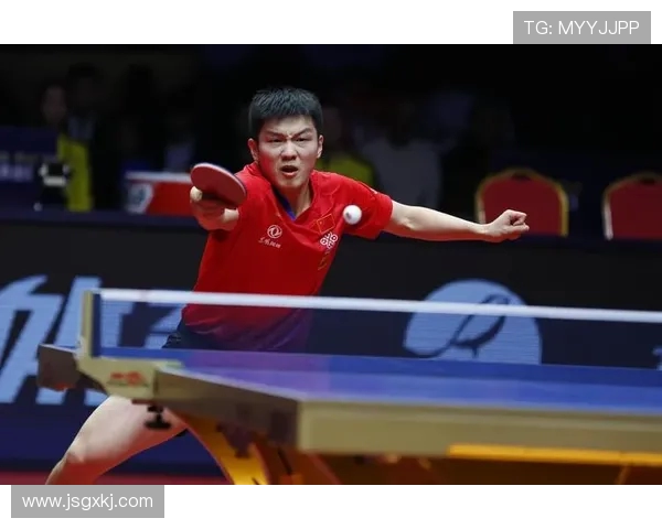 从零起步掌握乒乓球力量技巧与训练方法全解析